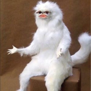 Meet your Posher, Hood